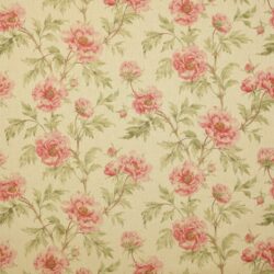 Tree Peony