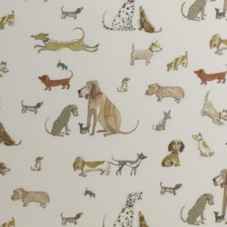 DOGS CHASING BUTTERFLIES BY DOMENICA MORE GORDON