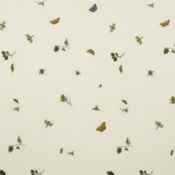 BUGS BUTTERFLIES AND LEAVES