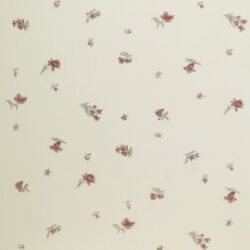 FLEURS DE LA FORET