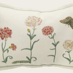 CARNATIONS & BUTTERFLY